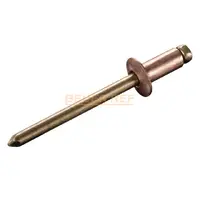 Rivets CU/BR - Tête plate